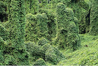 《黑帝斯》夺GDC 2021年度游戏 《原神》获最佳手游